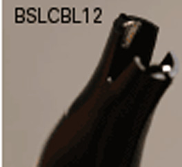 BSLCBL12